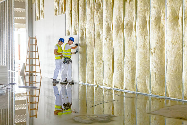 Best Residential Insulation in Montz, LA